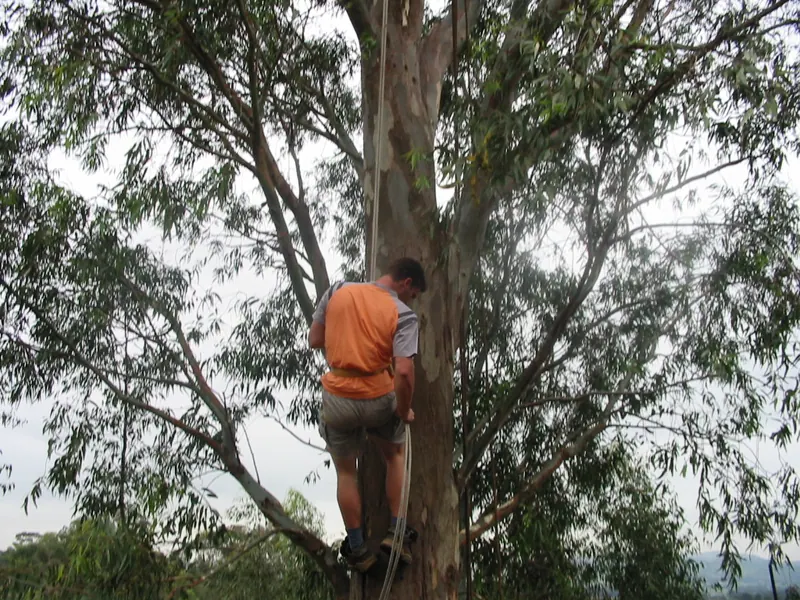 Troop Camp 2004, photo 25