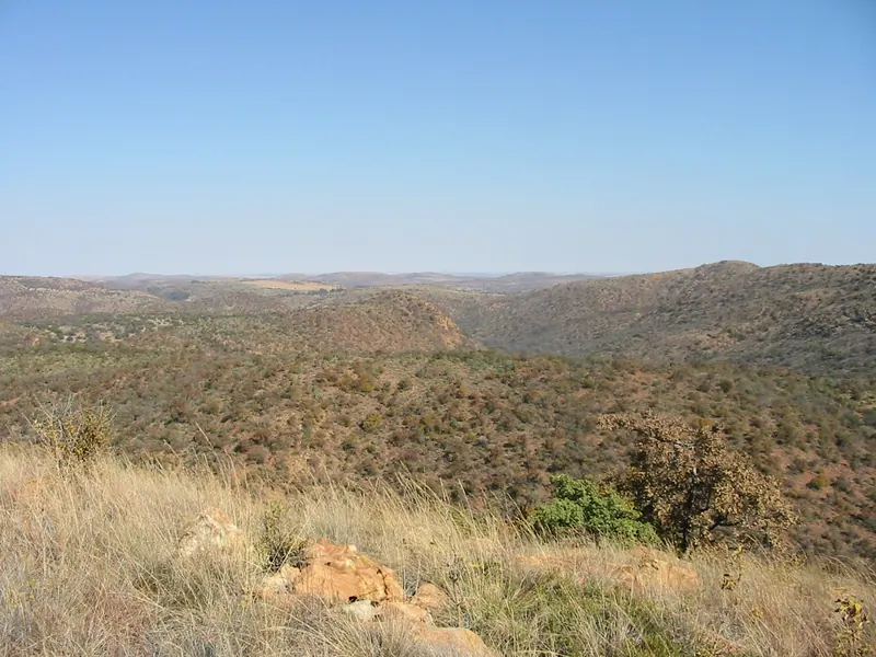 Troop Hike 2004, photo 9