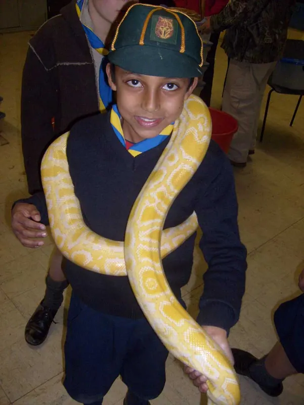 Cub's Reptile Evening, photo 22
