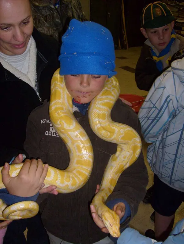 Cub's Reptile Evening, photo 26