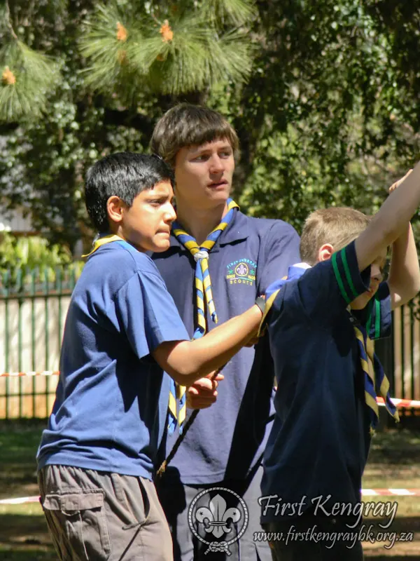 Tyron's Springbok Construction Project, photo 9