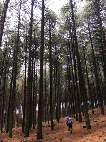 Chris' Springbok Hike