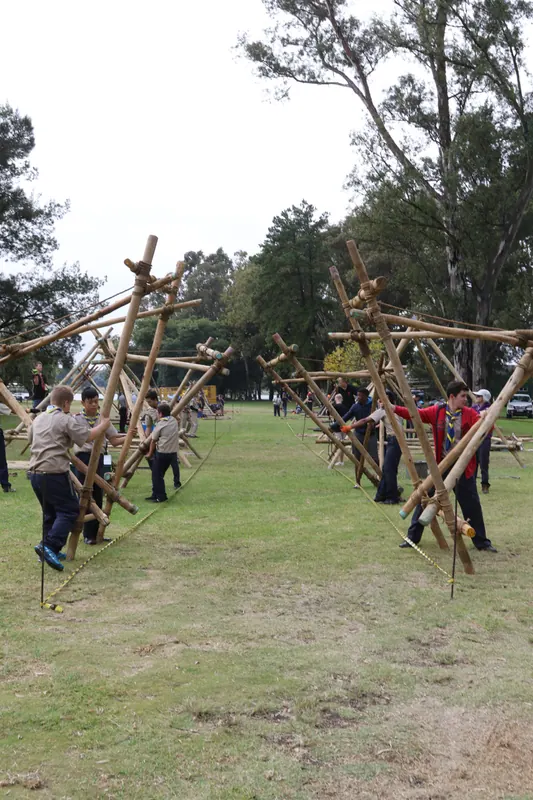 District Pioneering Compo 2019, photo 24