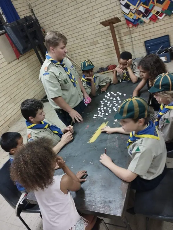Cubs build creatures and structures, photo 1