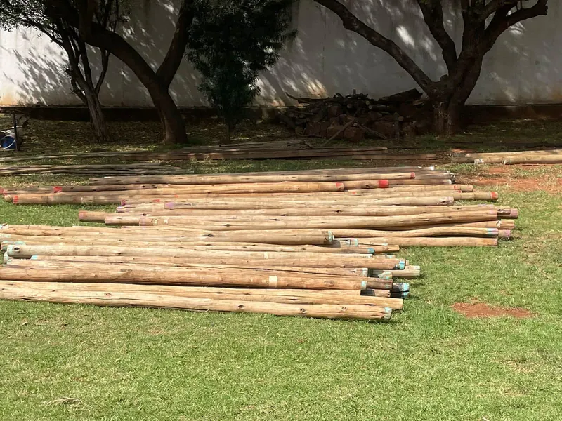 KonTiki 2024: getting ready for Shipwrecked, photo 15
