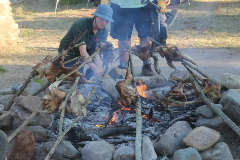 Survival Bash 2026, photo 276