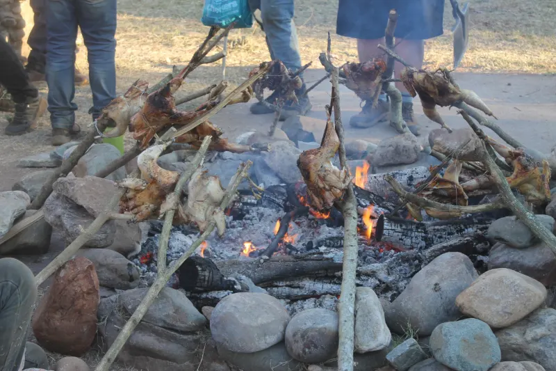 Survival Bash 2026, photo 278