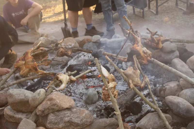 Survival Bash 2026, photo 288