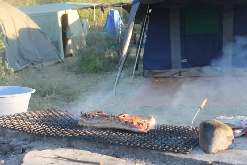 Survival Bash 2026, photo 316