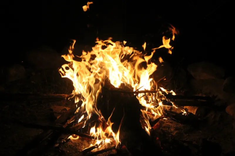 Survival Bash 2026, photo 222
