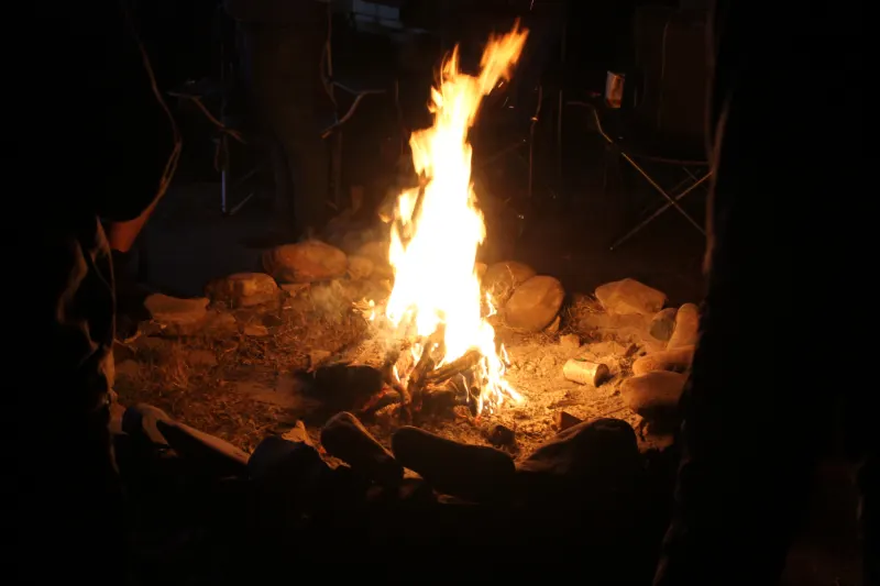 Survival Bash 2026, photo 221