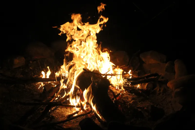 Survival Bash 2026, photo 223