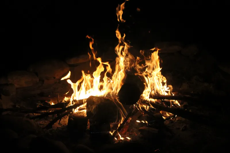 Survival Bash 2026, photo 224